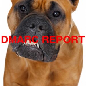 DMARCのレポートメールを受信。