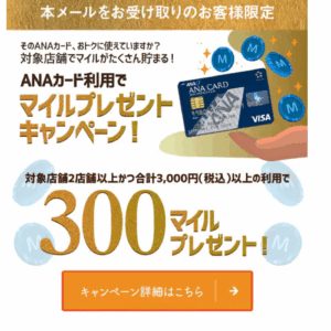 フィッシングメール情報「ANAカードご利用者様必見：このメールを受け取った方だけの特別ご案内」