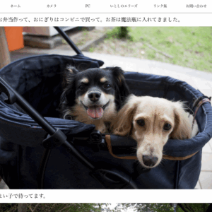 投稿画面に:root{}で設定したフォントファミリー・フォントサイズを読み込んで、インラインCSSを適用する。