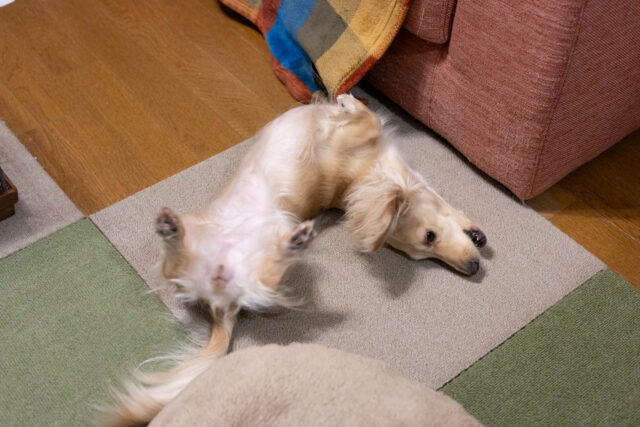 サイトのセキュリティについて。